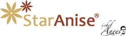 StarAnise logo color 2