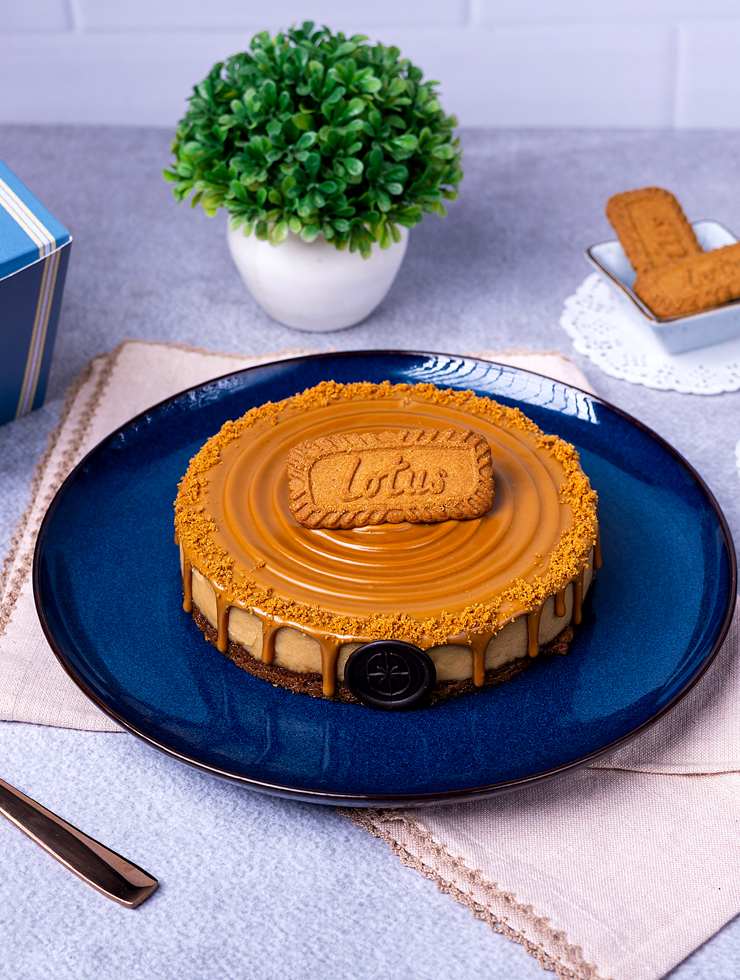 Baked Lotus Biscoff Cheese Cake