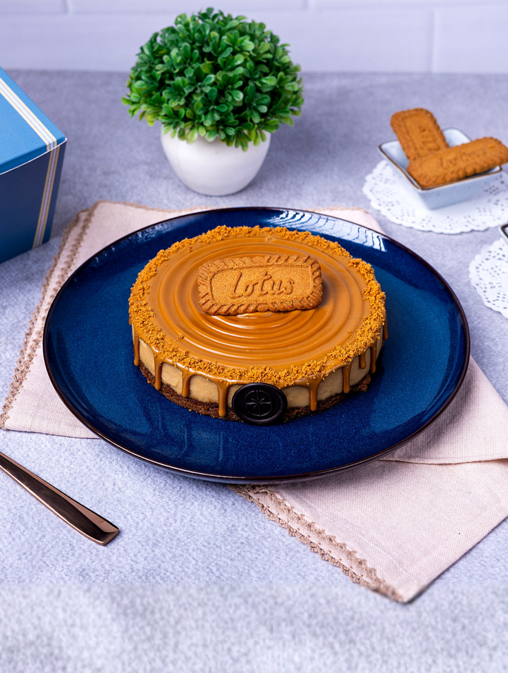 Baked Lotus Biscoff Cheese Cake